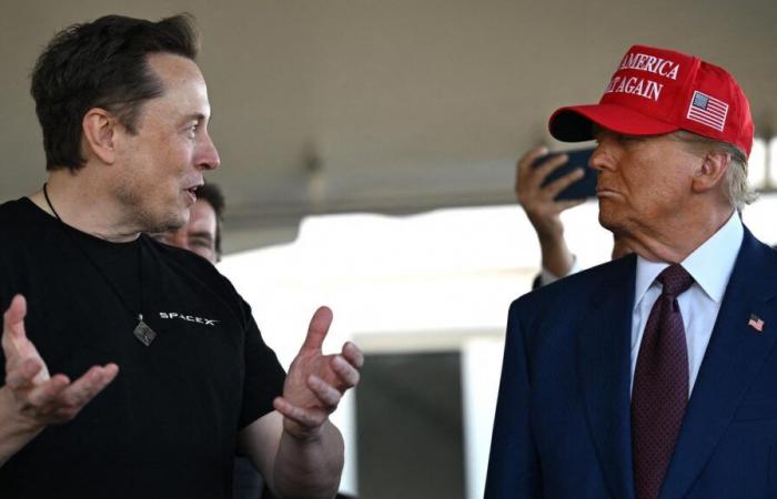 Between Elon Musk and other pro-Trump people, immigration becomes a primary subject of division