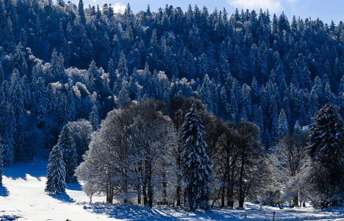 Cross-country skiing: free access to the slopes on Thursday in French-speaking Switzerland