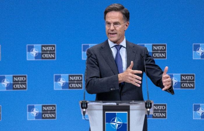 NATO pledges support after Baltic Sea cable incident