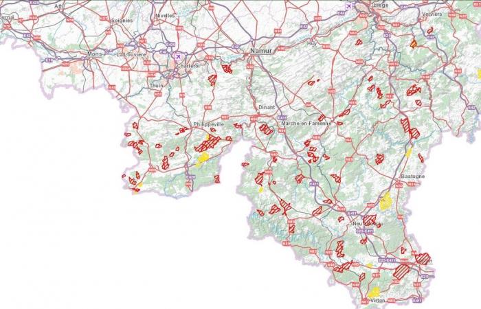 Wallonia: these hundreds of forest paths prohibited for hikes, walks, walks and cycling this weekend between Christmas and New Year