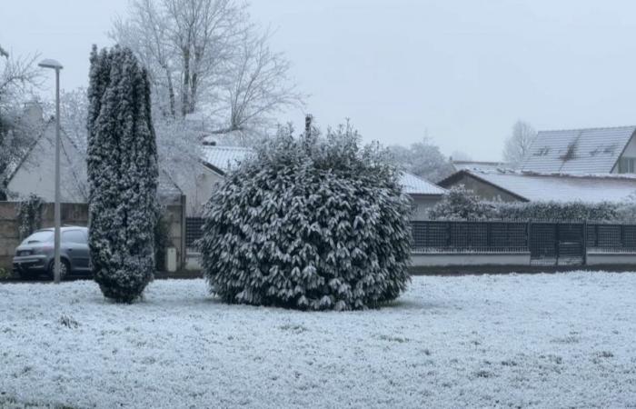 what is this phenomenon observed in Seine-et-Marne?