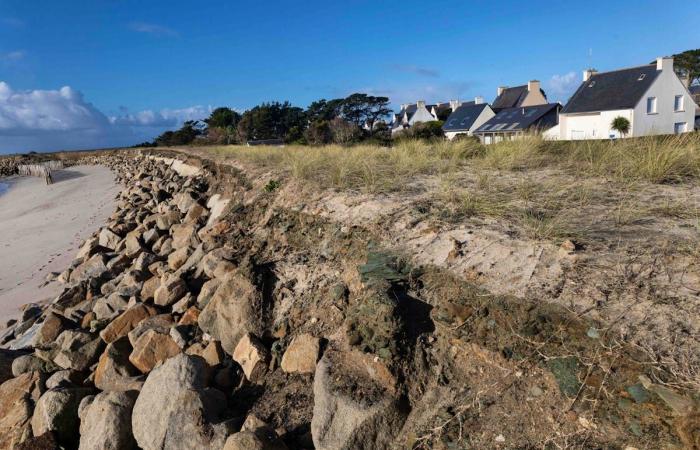 Razed houses: “We have no choice, the sea takes over”