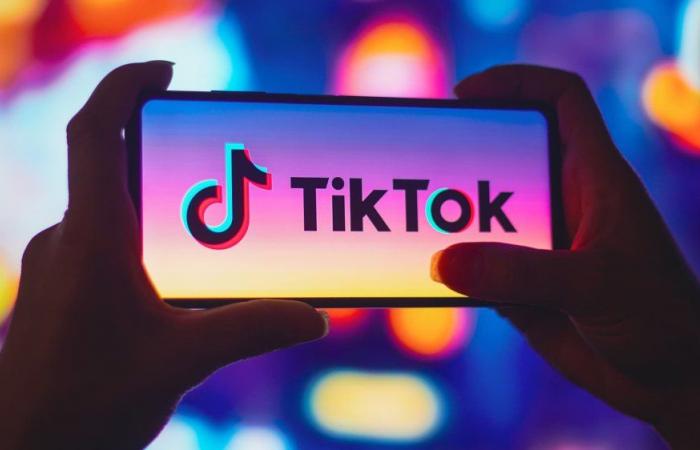 Trump asks US courts for moratorium on TikTok ban