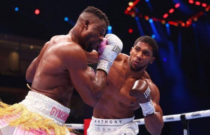 Francis Ngannou: the Cameroonian fighter is still paying the price for his heavy defeat against Anthony Joshua