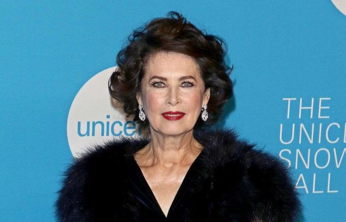 Actress, Supermodel Dies at 76 After Suspected Carbon Monoxide Leak