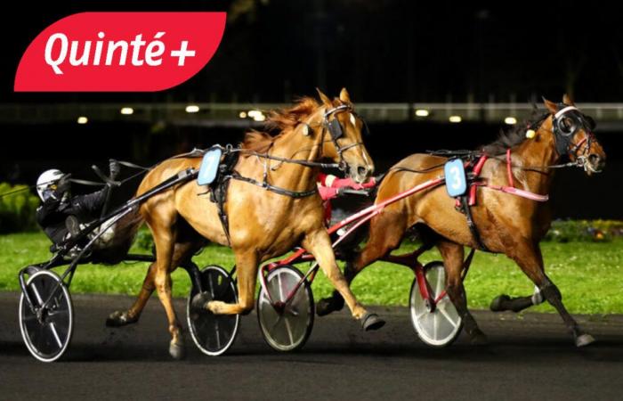 odds, favorites, outsider of the Prix de Nozay at Vincennes