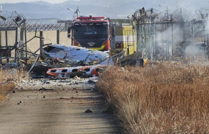 Plane catches fire in South Korea, causing at least 47 deaths