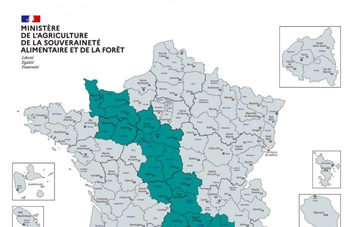 MHE: all Lozerian municipalities affected by the vaccine, Economy