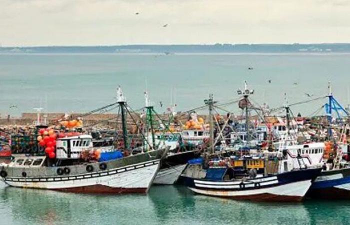 Fishing landings down 29% at the end of November