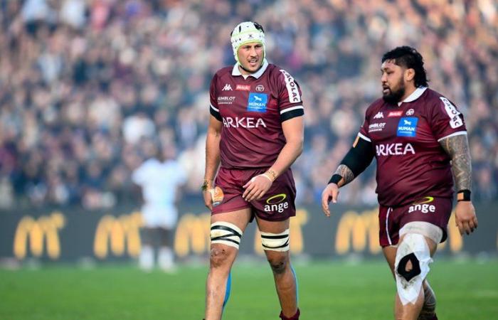 Top 14 – UBB – Toulon: a summit to finish in style