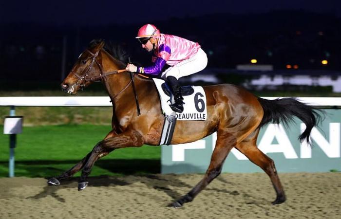 Deauville: Wassail above the rest