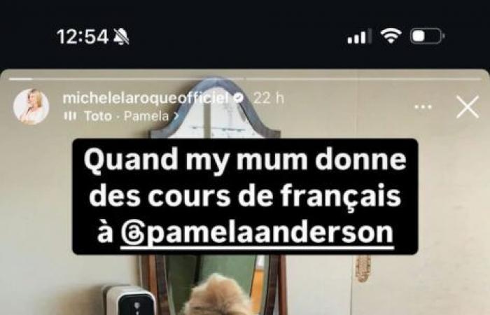 Michèle Laroque: her mother gives French lessons to Pamela Anderson