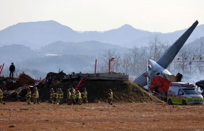 At least 85 dead and dozens missing after plane crashes at South Korea airport | World News