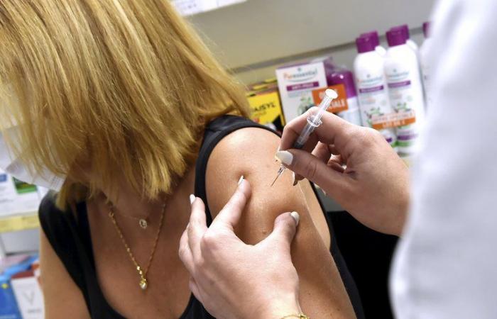 A call for caution during this end-of-year holiday season: the flu epidemic is “sharply increasing” throughout France