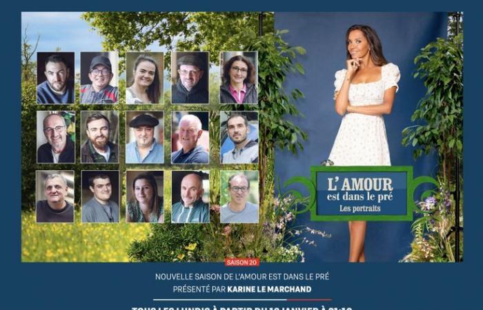 Love is in the meadow 2025: who are Jean-Louis, Mathieu, Anthony and Célia, the four farmers from Occitanie?