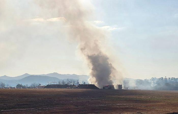 At least 47 dead after South Korean plane carrying 181 people crashes at airport