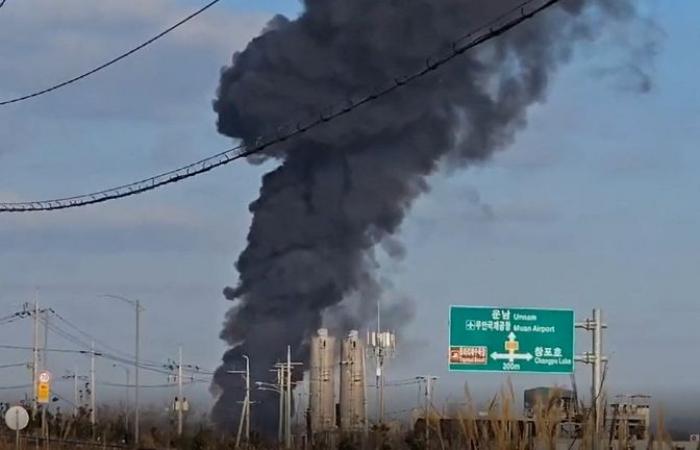 At least 85 dead and dozens missing after plane crashes at South Korea airport | World News