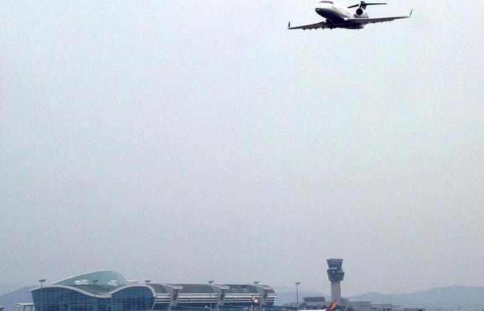 South Korea: plane crash with 181 people on board, at least 29 dead