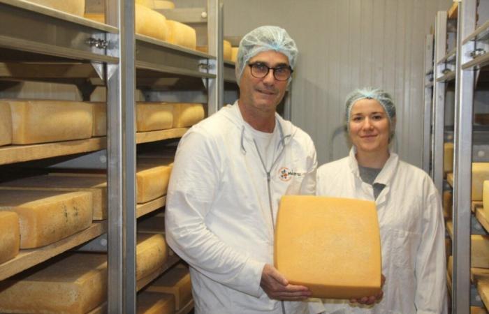 Yogurts, cheeses… three international medals for this Loire-Atlantique farm