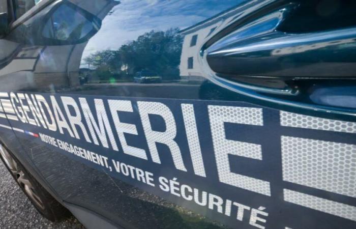 Moselle. In the wrong direction on the A4 between Metz and Saint-Avold, a driver intercepted by the gendarmes in Longeville-lès-Saint-Avold