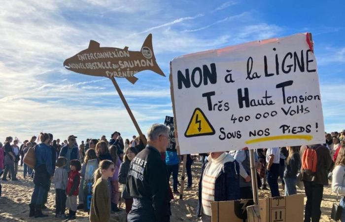 six opponents of the very high voltage line site installed in trees in Capbreton, a request for a moratorium sent to the Prime Minister