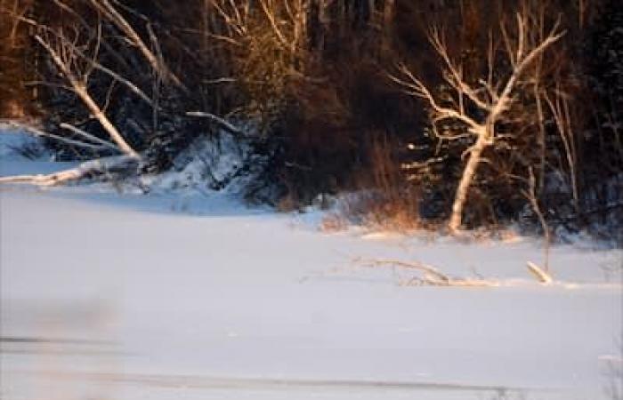 Snowmobiler father dies in river