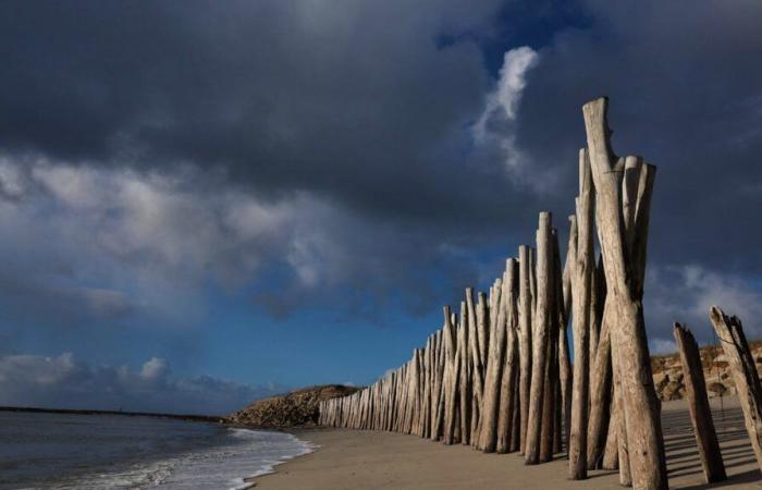 Razed houses: “We have no choice, the sea takes over”