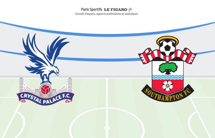 Where to watch Crystal Palace vs. Southampton on 12/29/2024: Streaming, TV channels, times and match details