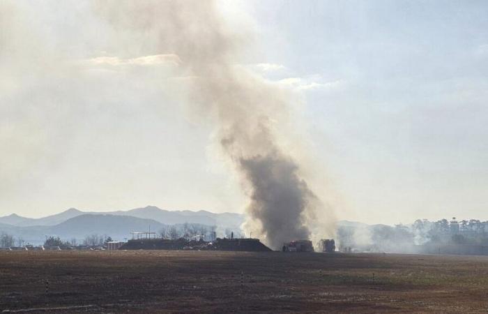 South Korea: plane catches fire on landing, at least 124 dead