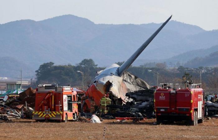 Passenger plane crashes in South Korea: 179 of 181 passengers presumed dead