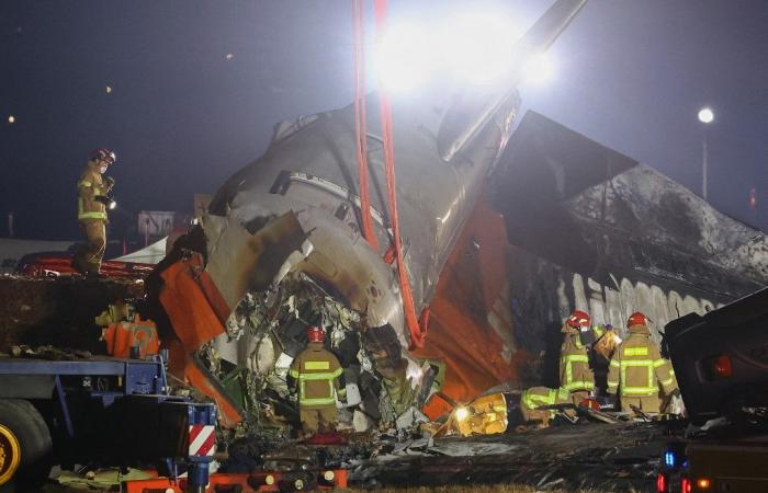 South Korea: what we know about the crash which left at least 179 dead