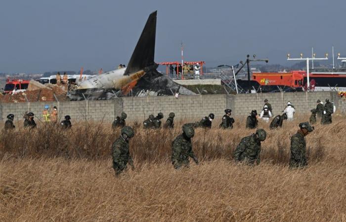 Jeju Air plane colliding with birds kills at least 120 in South Korea