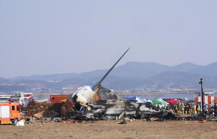 Airplane disaster in South Korea, almost all passengers die