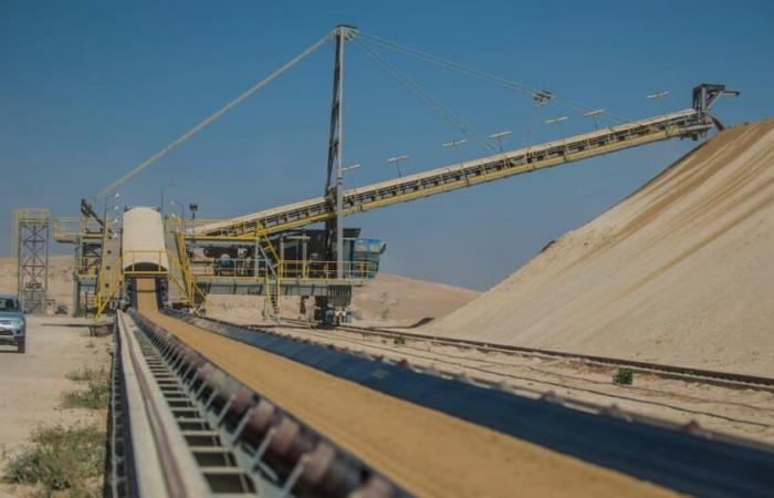 Phosphate prices will have to appreciate in 2025