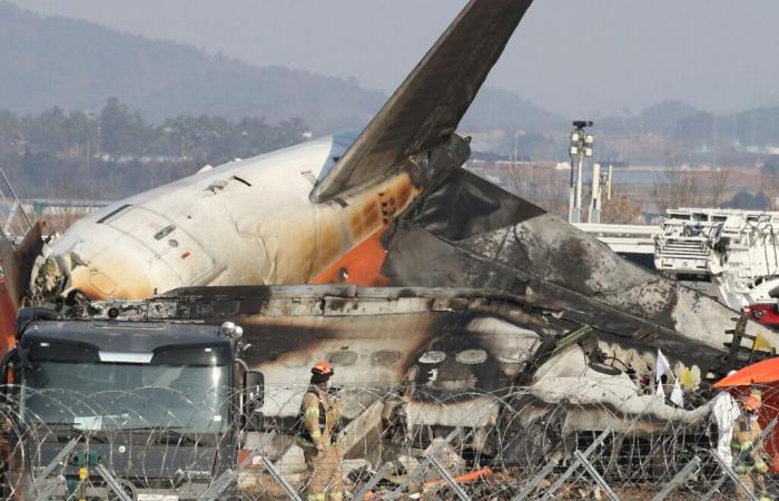 120 dead, two survivors, collision with birds… what we know about the plane crash in South Korea