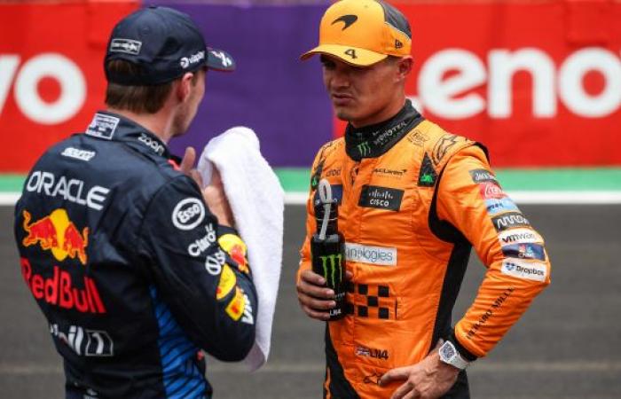 Verstappen speaks out on his relationship with Norris, calling some 'IDIOTS'