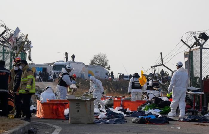 Plane crash in South Korea: at least 120 dead, here’s what caused the crash