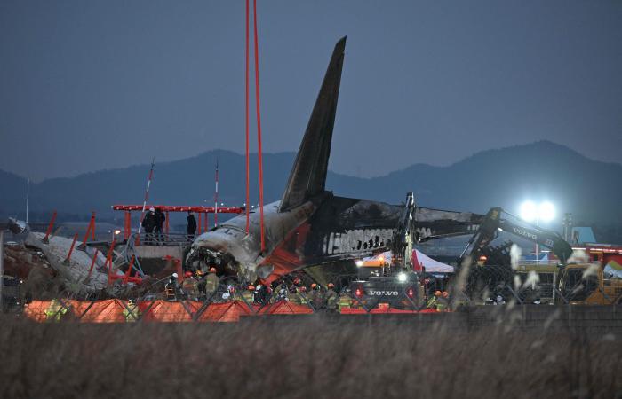 “Can’t land now”: messages from passenger of plane that crashed in South Korea revealed