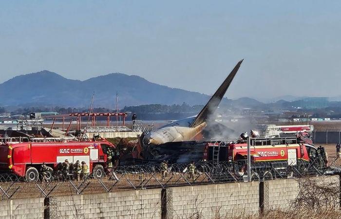 Crash of a Boeing 737 in South Korea: the plane crashes on landing, at least 120 dead, the plane seems to have struck birds