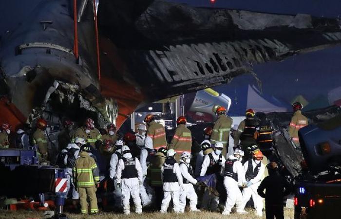 Plane crash in South Korea: what we know about this terrible accident | South Korea