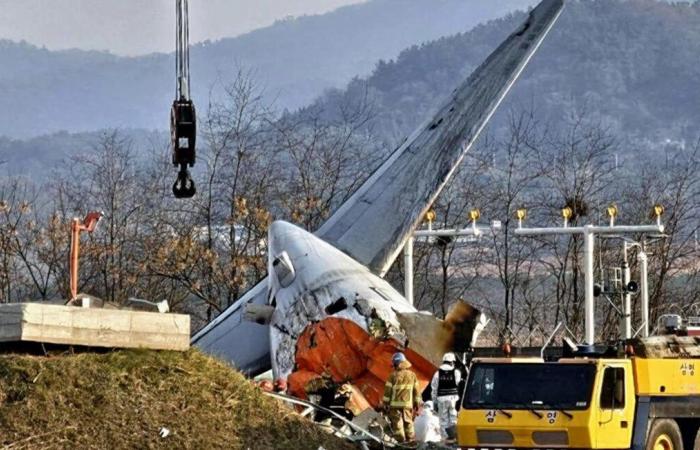 Birds, victims, rescue… The essentials on the crash of a Jeju Air plane