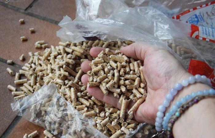 Wood pellets: will the price of pellets fall in 2025?