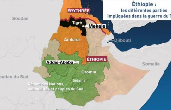 Three Ethiopian journalists kidnapped then released in the Tigray region | APAnews