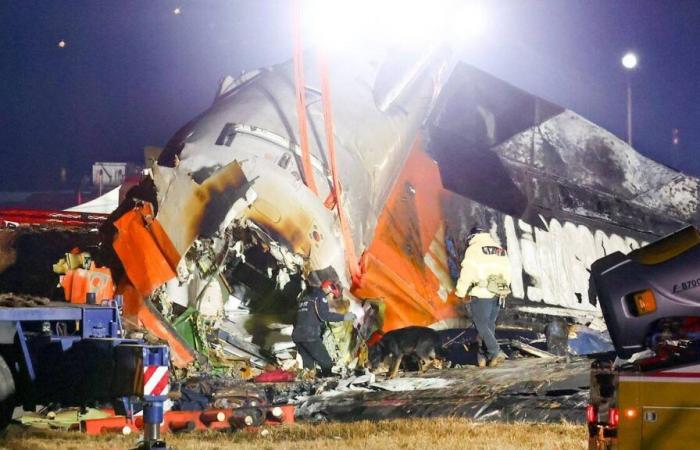 Collision with birds, wall at the end of the runway, model of the plane… What we know about the Jeju Air crash in South Korea