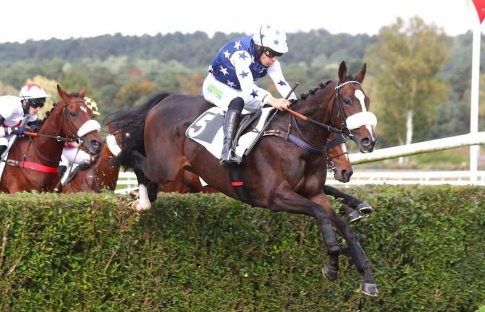 Agenda for the week (December 30 to January 5): a very beautiful weekend on the Vincennes ash with the Prix du Calvados – Cornulier Races, the jumpers have their big meeting in Cagnes/Mer