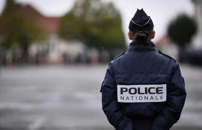 Strasbourg: 14 arrests after violence in the run-up to New Year's Eve: News