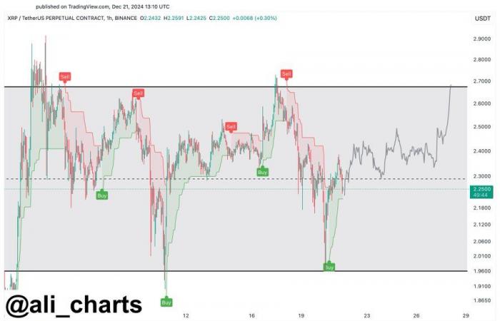 a 10-time rally coming up?