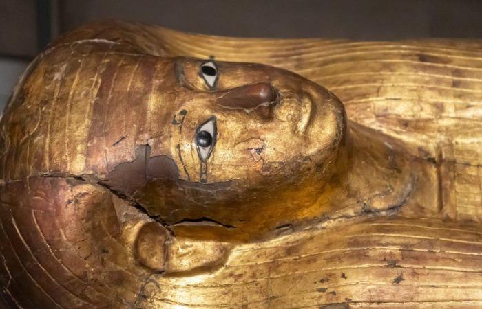 A “remarkable” discovery: a reburied sarcophagus from the Middle Kingdom in Luxor unearthed by French researchers