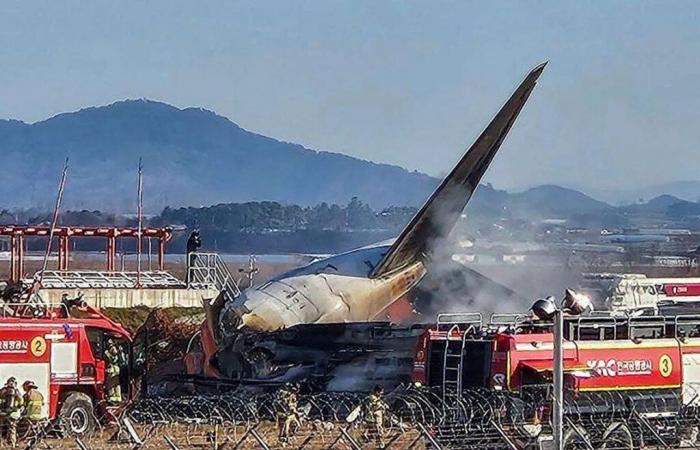 South Korea: 179 passengers dead in Jeju Air plane crash – K-Sélection