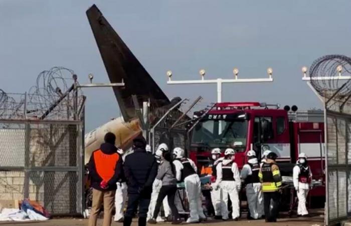 A passenger plane crashes in South Korea: the toll is extremely heavy